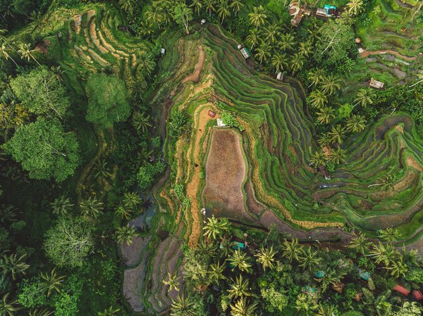 Où trouver des cours de yoga en plein air à Bali ?